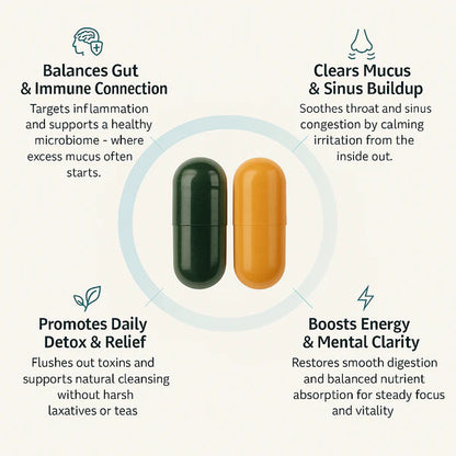 Gut Health + Spirulina & Chlorella Bundle.